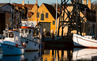 Dragør: A Historic Fishing Village Tour